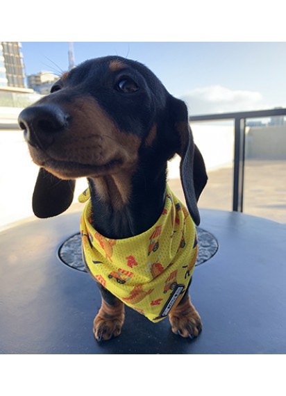 Haute Dox 'Shake 'N' Dog' Bandana